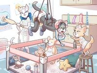 Ah Bagels - PP's favorites