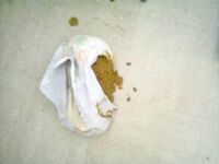 Wipe My Shitty Arse