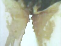 My Wet & Messy Pants