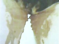 My Wet & Messy Pants