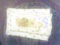 The Changing Mat Piss