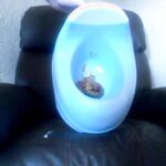 Potty Training Baby