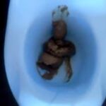 Potty Training Baby