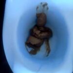 Potty Training Baby