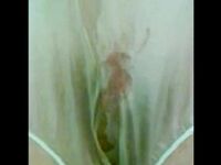 Pissed In My Baby Pants