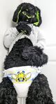 MatrixBunnyRabbit 1
