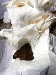 First ever messy pullup