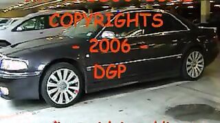 DGIP_Sharka_3