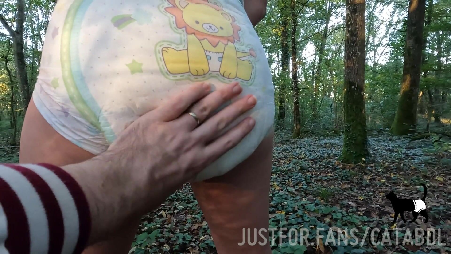 Cat unassisted mess in forest chased