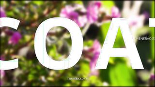 Dirty Petticoat Discipline