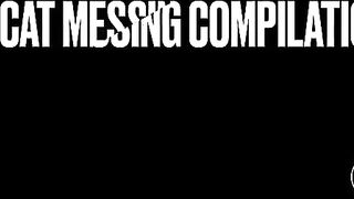 Cheshire diaper and panty poop 1