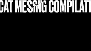 Cassie pooping in her panties and diaper