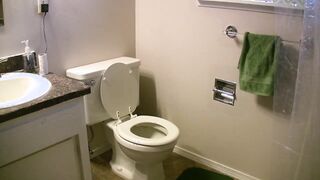 Nikki Amber Caught on Toilet VOSTFR
