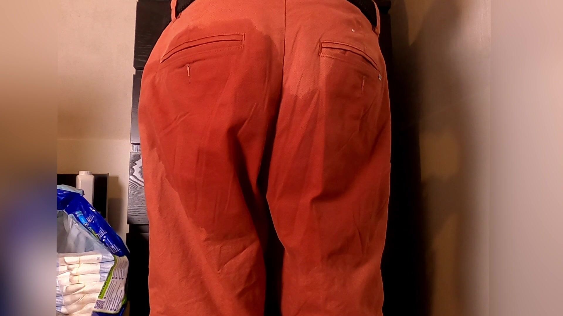 Wet Panties & Full Diaper