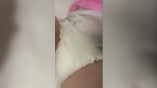 loser wets her diapers