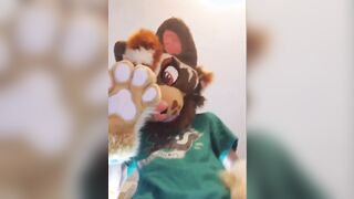 Cute diapered fursuiter sits on you