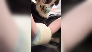 Puppy shows off their wet diaper