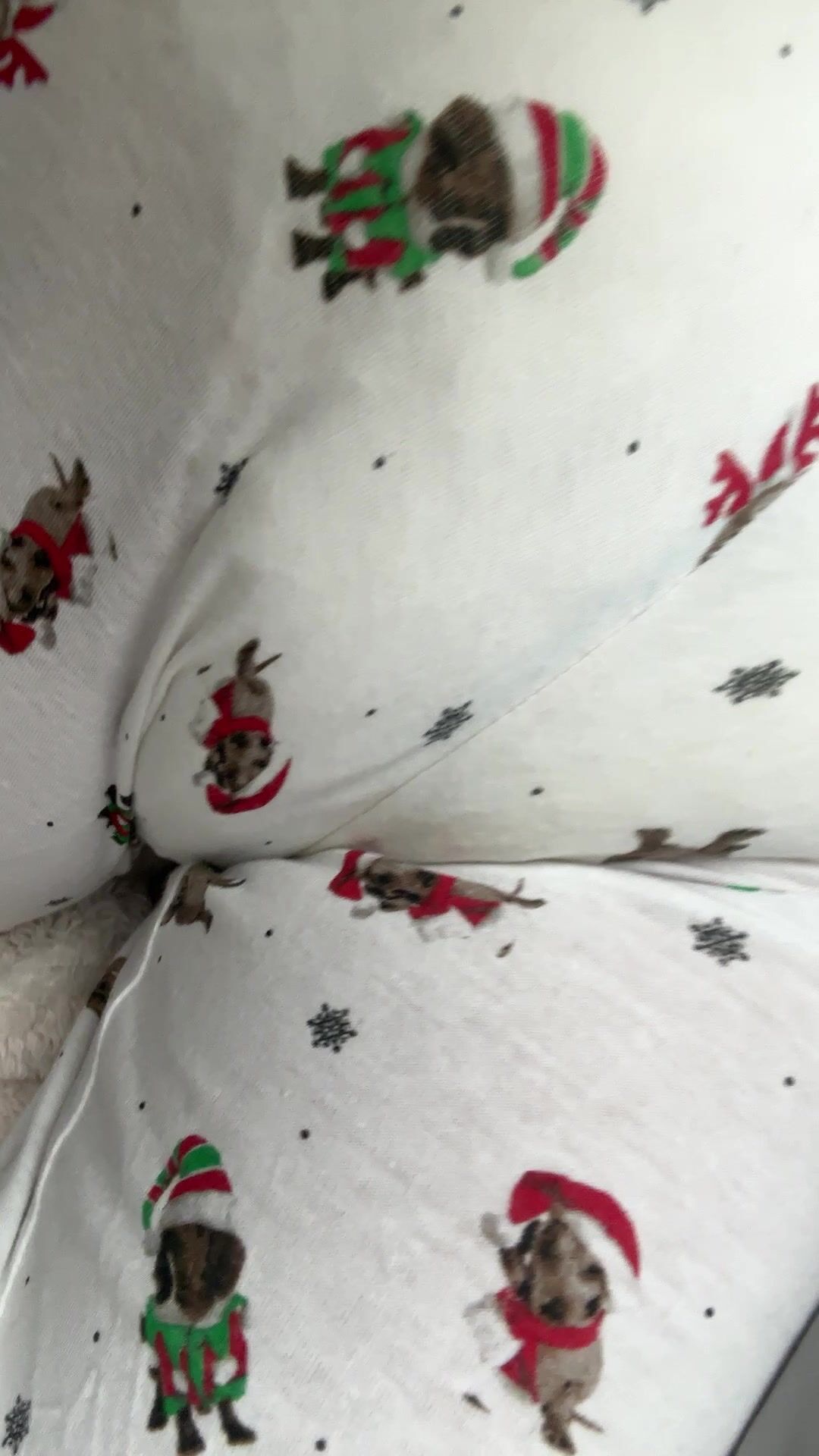 Diaper and Pyjamas