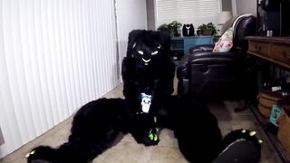 MATRIXBUN having a wonderful time