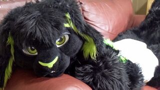 MatrixBunnyRabbit having fun 3