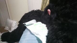Matrix Bunny Rabbit pawing off into diaper