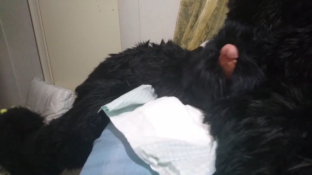 Matrix Bunny Rabbit pawing off into diaper